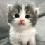 Fl4shban9