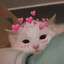 Coco's avatar