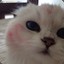 ФастикГей