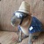 Sr. capivara