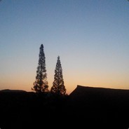 弟弟。我来你家了