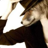 不知道怎么说的大黄