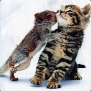 电脑（开启支付模式的）