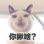 龙泽怡怡