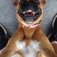 p劉先森