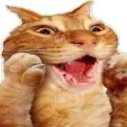 screaming cat