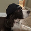 Conndad