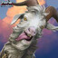 Goat of Thunder