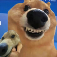 一人报大残全队回大厅