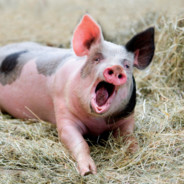 @me  ็็็็็็็็็