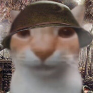 Dast Katze #FixTf2