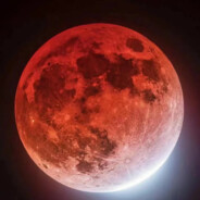 网卡人菜枪还马