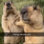 Marmot