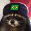 rakun☭