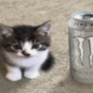 sir bruvva bazza III