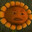 kookies avatar