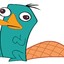 Perry_The_Platypus