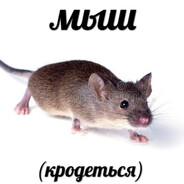 mous (sneekin) - steam id 76561197960308876