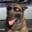 Memphis avatar