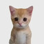 Leroy Jenkins