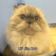 Lil Jim Bob