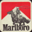 I love Marlboro