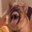 mkultra puppyplay