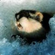 Lemming - steam id 76561197965558816