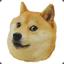 Doge3016