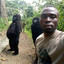 first in line with the gorilla