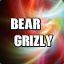 Bear Grizly