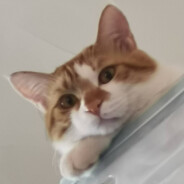 玛卡巴卡是只小猪咪