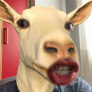 YoryiGi
