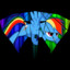 Rainbow Dash is best pony