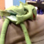 kermit&#039;s ass