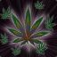 st0nar Pwrd By WeedWorld Inc.
