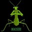 MANTIS