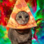 Pizza_Cat