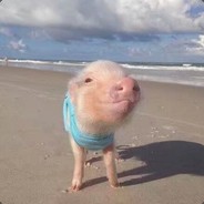 铁砸，你得努力呀！