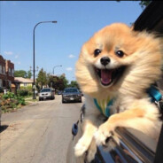 薄情难配赤诚心