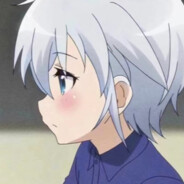 笨蛋总会掉眼泪