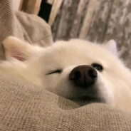 都市校草之神医兵王龙王战神修罗至尊