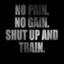 No Pain No Gain