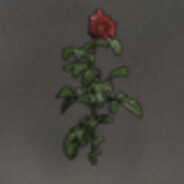 Fucking romantic rose