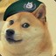 Sgt.Doge