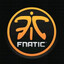 𒆜FNATIC𒆜