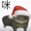 哈基轩