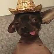 Raozy
