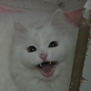 MAKAW