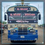 El_goldo15